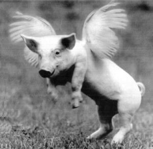 Image result for nÃ¥r griser kunne fly